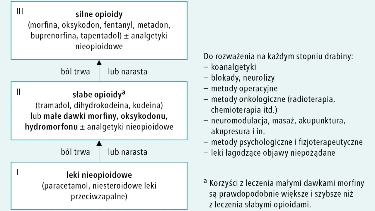 Schemat drabiny analgetycznej: leki nieopioidowe, słabe opioidy (np. oksykodon), silne opioidy (np. oksykodon 80 mg).