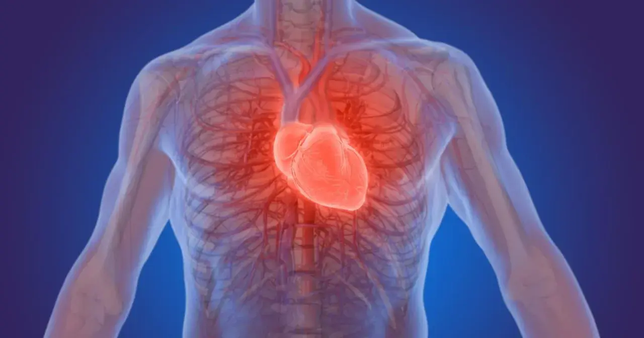 Anatomia ludzkiego ciała z widocznym, świecącym na czerwono sercem. Czy to znak, że espiro lek na co?