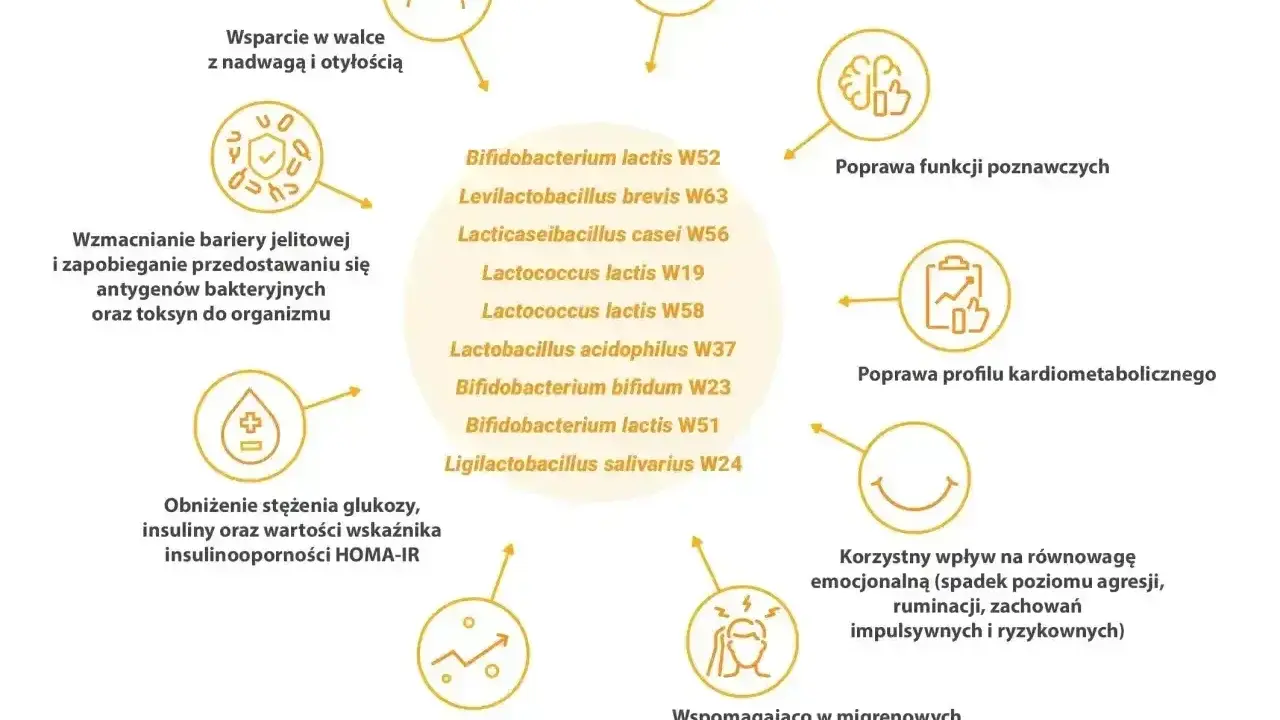 Wsparcie w walce z insulinoopornością, poprawa profilu kardiometabolicznego i funkcji poznawczych. Leki na receptę mogą być wspierane przez probiotyki.