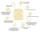 Wsparcie w walce z insulinoopornością, poprawa profilu kardiometabolicznego i funkcji poznawczych. Leki na receptę mogą być wspierane przez probiotyki.