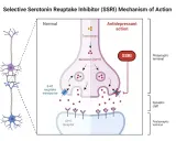 Mechanizm działania SSRI: jak citabax wpływa na synapsę, blokując wychwyt zwrotny serotoniny i zwiększając jej dostępność.