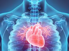 Anatomia serca z widocznym zapaleniem mięśnia sercowego. Czerwone serce na tle niebieskiego szkieletu i klatki piersiowej.