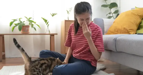 Dziewczyna zatyka nos, czując objawy alergii na kota. Kot siedzi obok niej na dywanie.